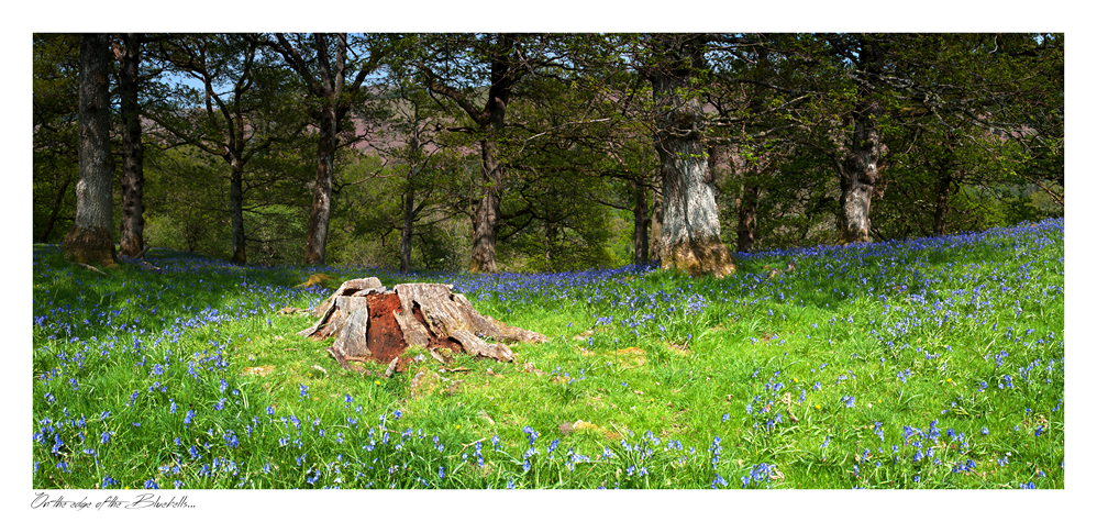 images from wales - Ian Nicholson Photography - Builth Wells